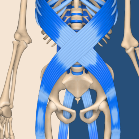 Craniosakrale Therapie